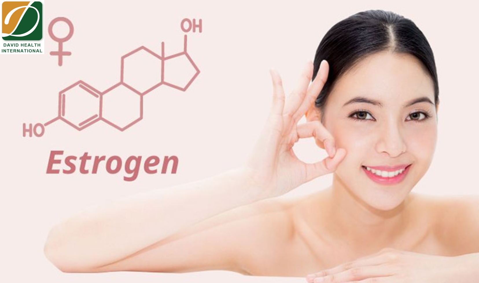 Nội Tiết Tố Nữ Là Gì?